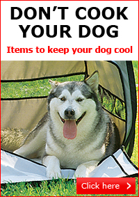 Don't Cook Your Dog